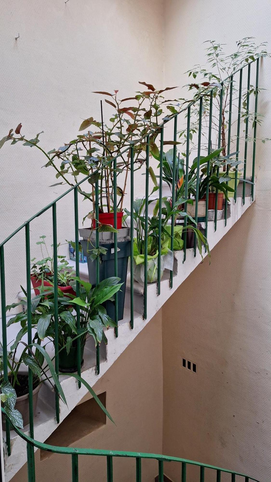 Vacance Et Cure Dans Duplex 80 M2 A Ceret 66400 Exterior photo